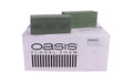 Oasis Foam