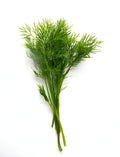 Dill Grass